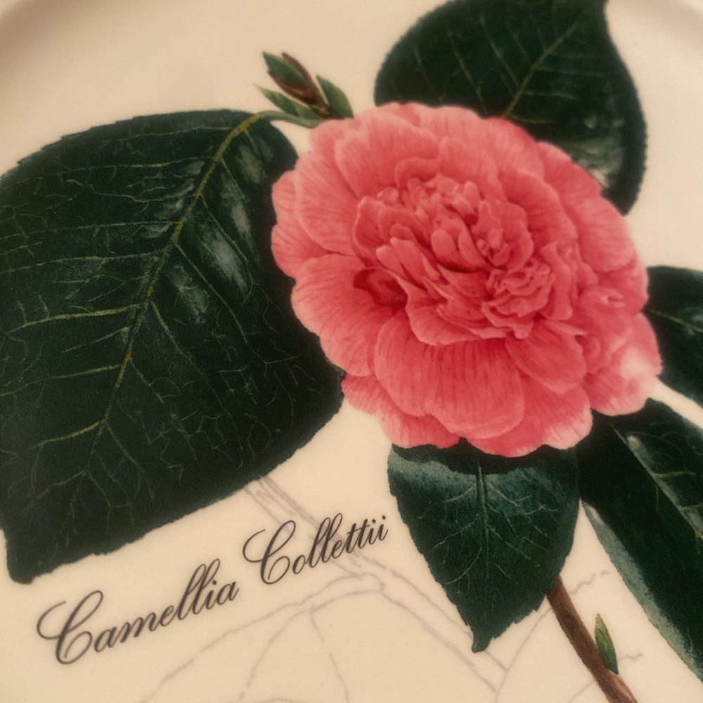 Villeroy & Boch White Decorative Plate🌸 - Picture 2 of 4